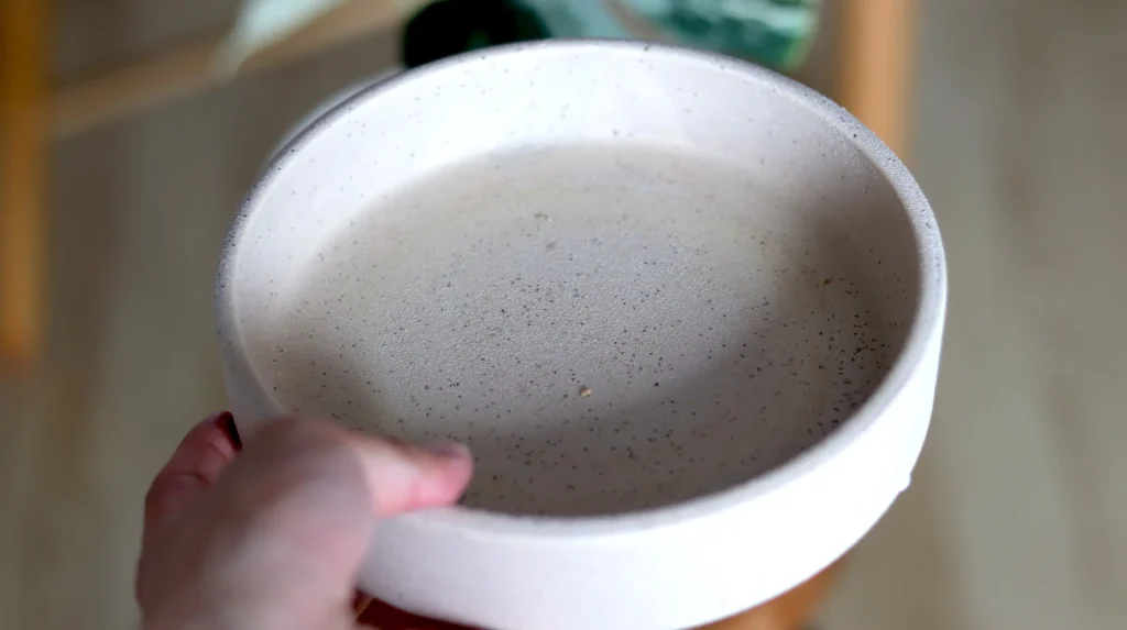 斑入りモンステラ　ボルシギアナホワイトタイガー　おすすめの鉢　鉢底皿